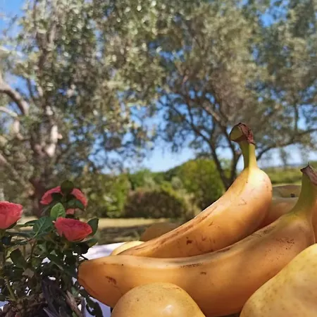 Parco vacanze Torkul Kraj (Zadar)