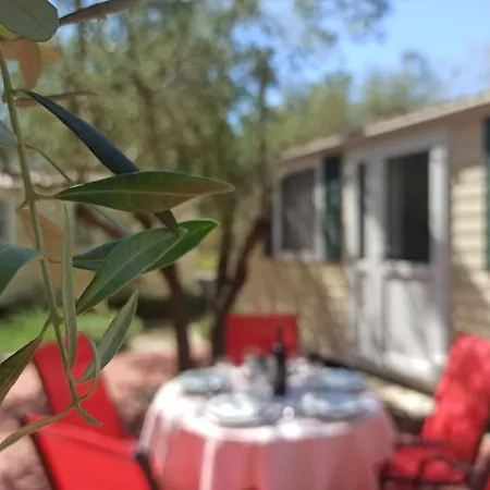 Tatil parkı Torkul 3*