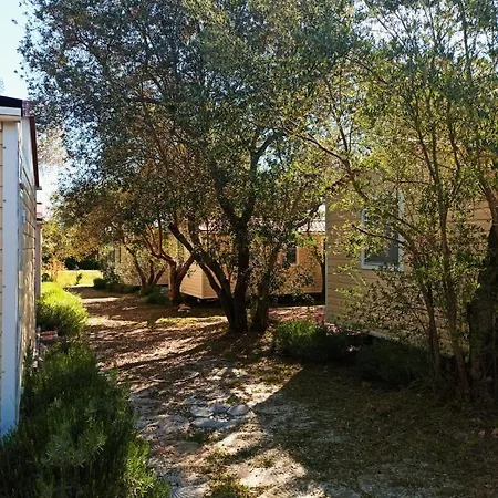 Tatil parkı Torkul 3*