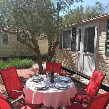 Holiday park Torkul