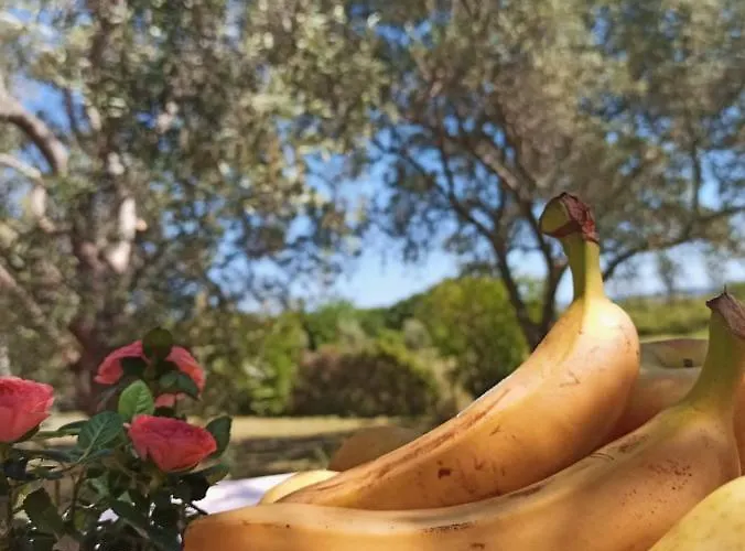 Park za odmor Torkul Kraj (Zadar)